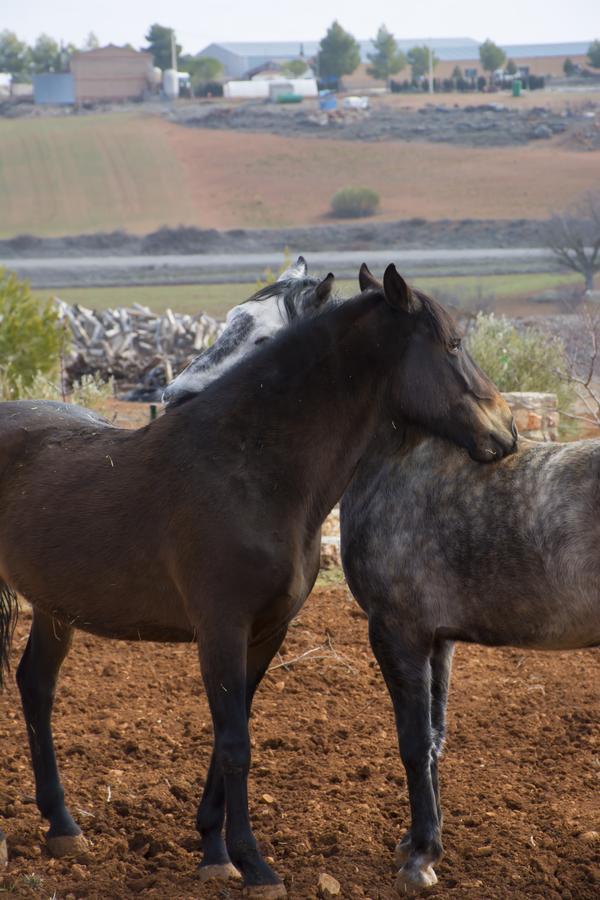 El Retiro De Cervantes Ossa de Montiel Kültér fotó